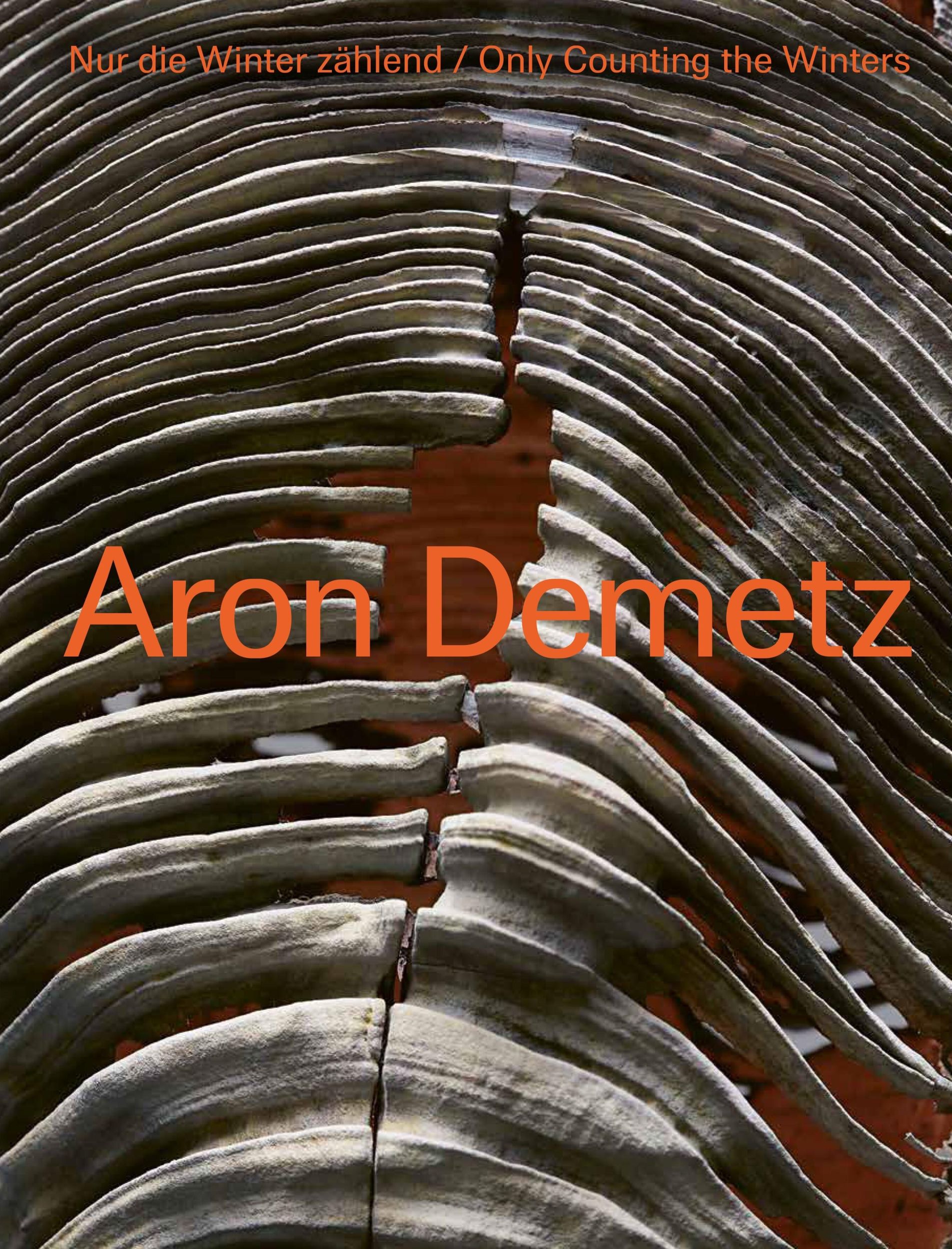 Cover: 9783791377988 | Aron Demetz | Nur die Winter zählend / Only Counting the Winters