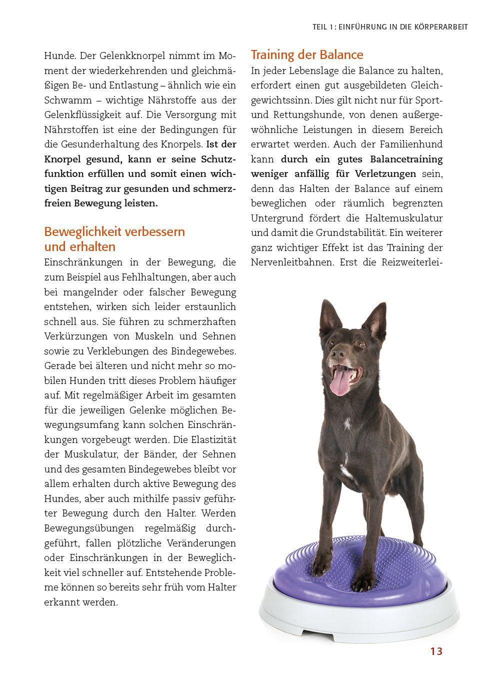 Bild: 9783936188752 | Körperarbeit mit dem Hund | Silke Stricker | Buch | 168 S. | Deutsch