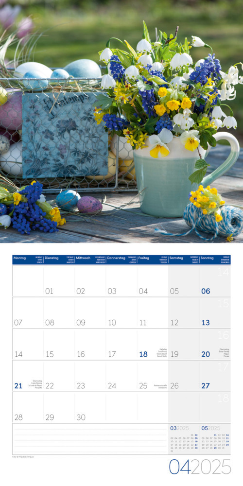 Bild: 9783838445007 | Blumenzauber Kalender 2025 - 30x30 | Ackermann Kunstverlag | Kalender