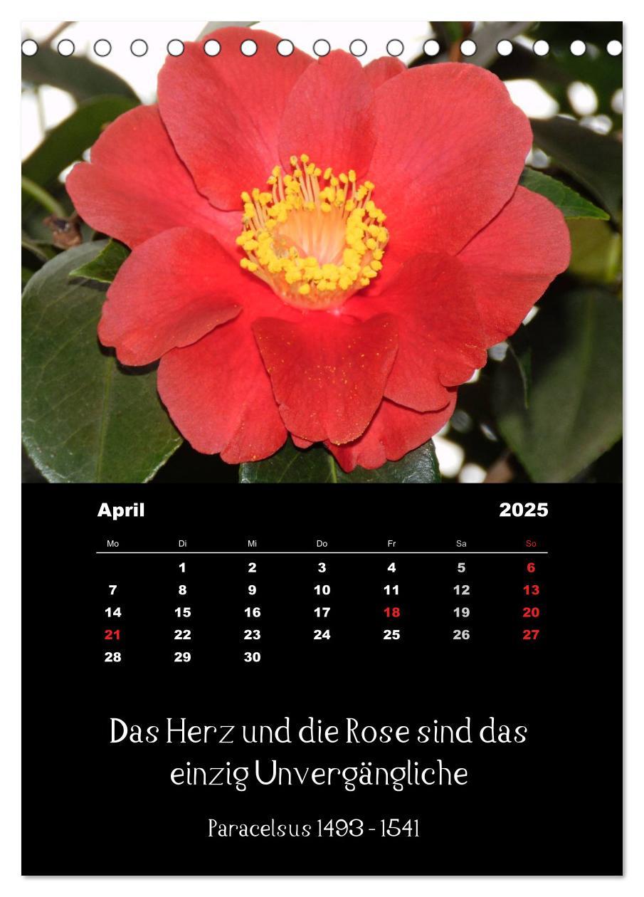 Bild: 9783457085660 | Sprüche und Zitate berühmter Personen über Blumen und Natur...