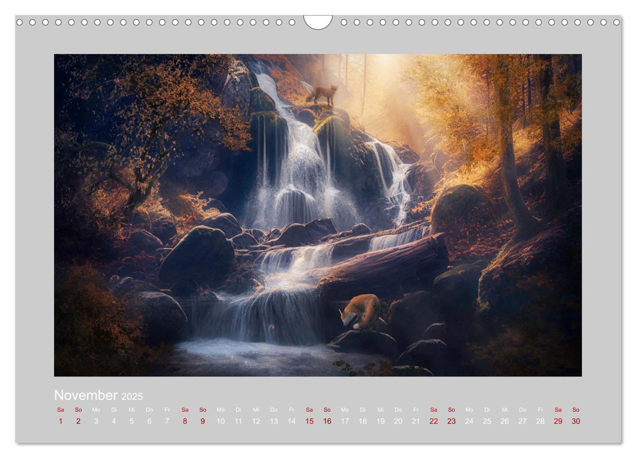 Bild: 9783383913747 | Wald der Märchen (Wandkalender 2025 DIN A3 quer), CALVENDO...