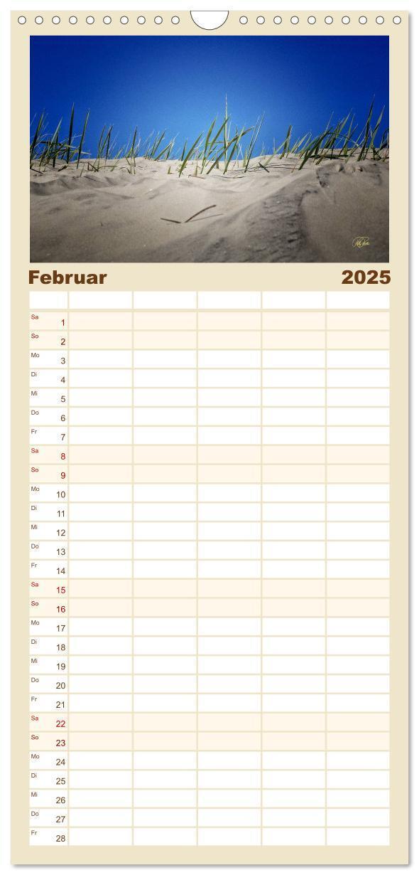 Bild: 9783457119297 | Familienplaner 2025 - Nordsee-Dünen mit 5 Spalten (Wandkalender, 21...