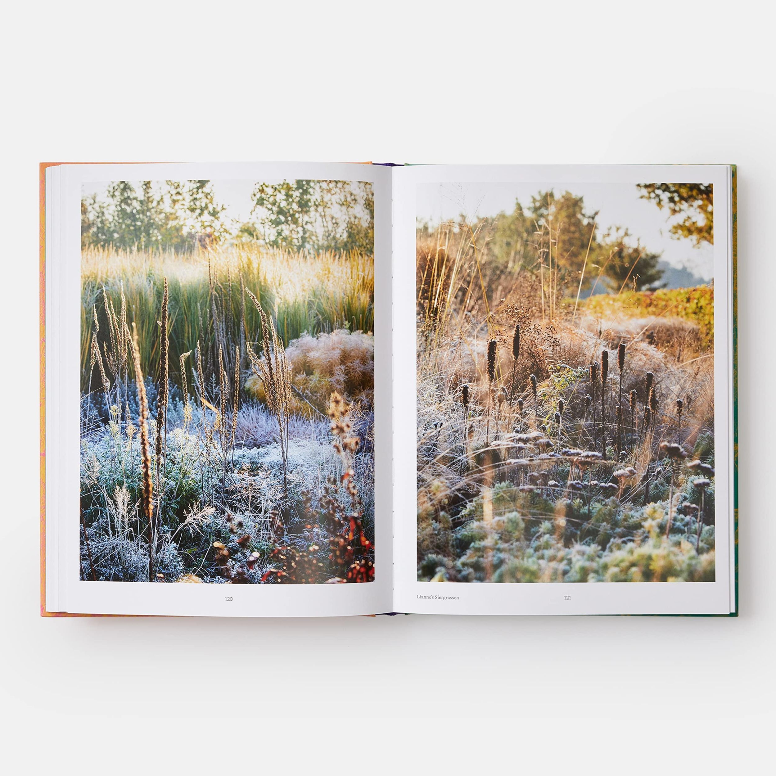 Bild: 9781838661052 | Wild | The Naturalistic Garden | Noel Kingsbury | Buch | Phaidon Press