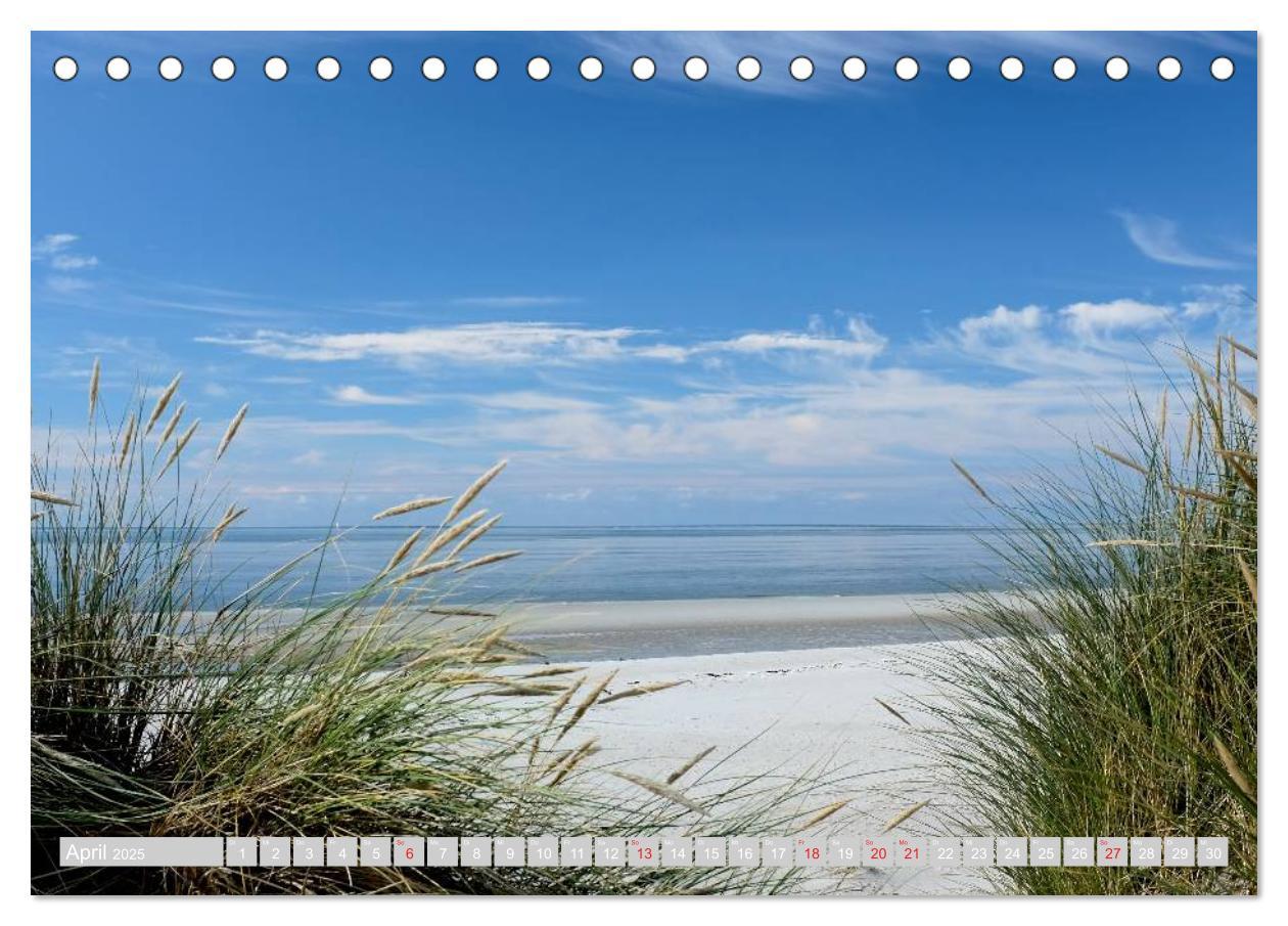 Bild: 9783435714285 | Amrum, die Perle in der Nordsee (Tischkalender 2025 DIN A5 quer),...