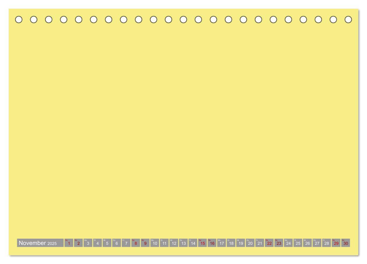 Bild: 9783383995521 | Erlebe mit mir deine bunte Kreativität (Tischkalender 2025 DIN A5...