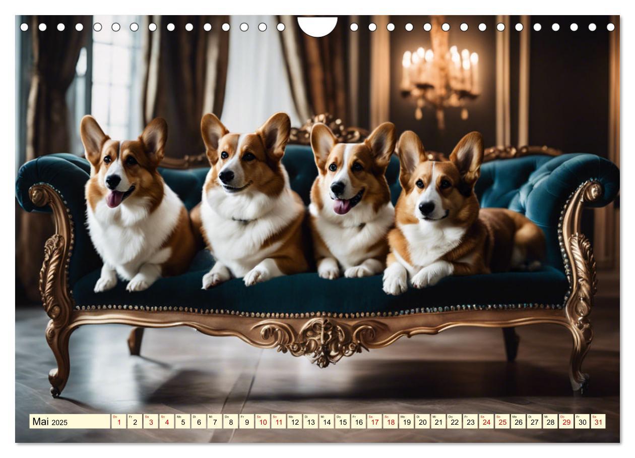 Bild: 9783435241026 | Welsh Corgi Pembroke (Wandkalender 2025 DIN A4 quer), CALVENDO...