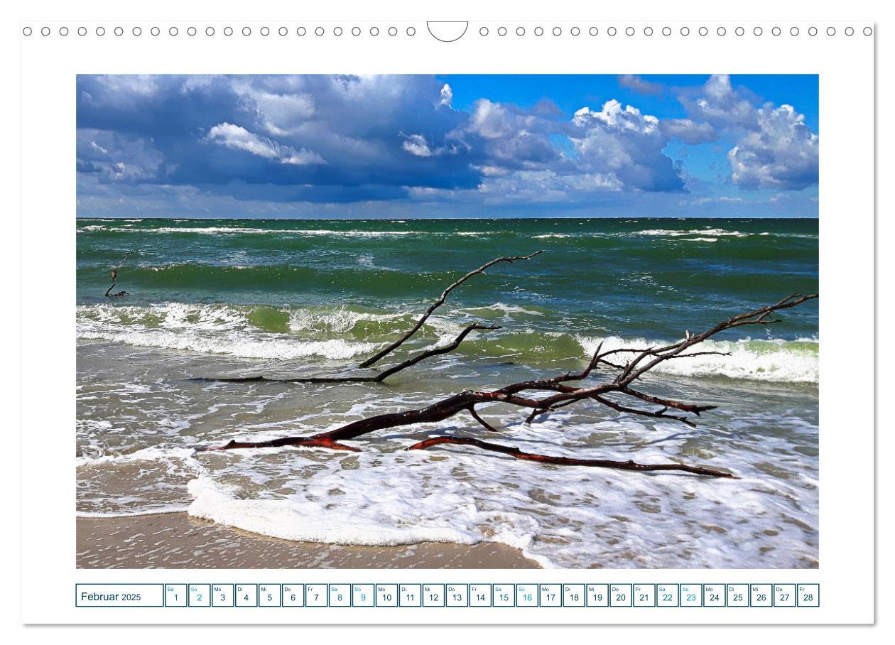 Bild: 9783457242162 | Der Weststrand am Darß (Wandkalender 2025 DIN A3 quer), CALVENDO...