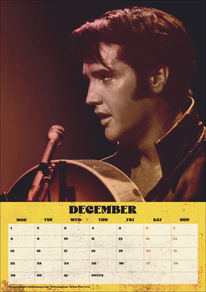 Bild: 9783840196720 | Elvis Posterkalender 2025 | Kalender | Spiralbindung | 14 S. | 2025