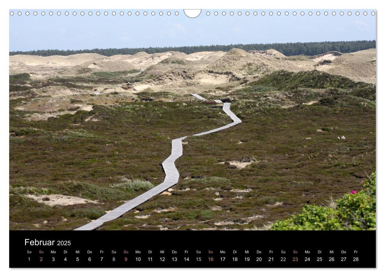 Bild: 9783435787920 | Die Insel Amrum (Wandkalender 2025 DIN A3 quer), CALVENDO...