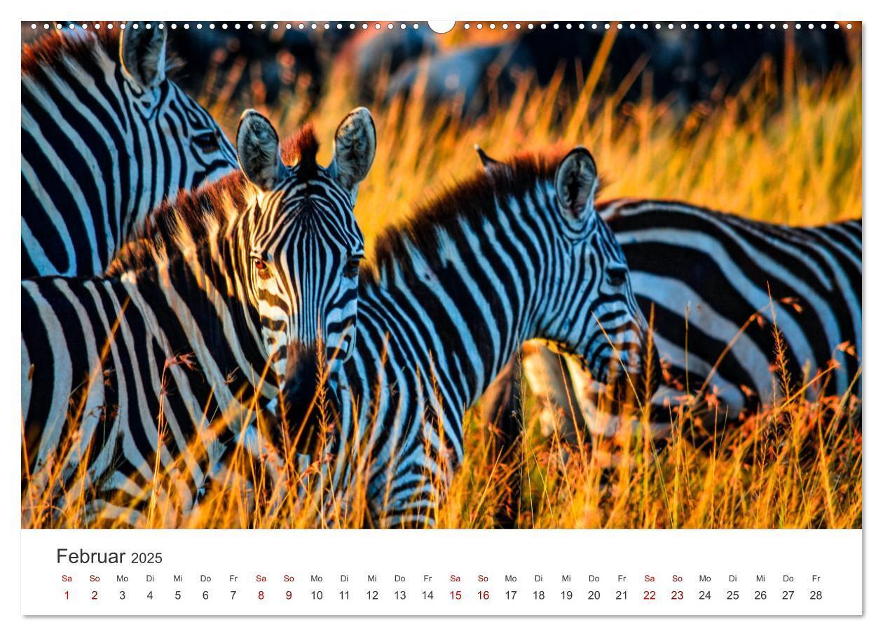 Bild: 9783435002313 | Kenia - Eine Safari durch unberührte Natur. (Wandkalender 2025 DIN...