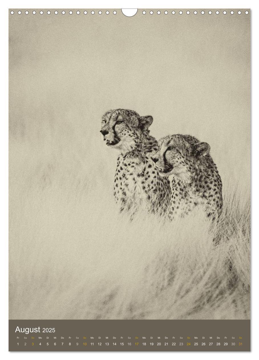 Bild: 9783457013328 | Afrikas Tierwelt - Sepia-Art (Wandkalender 2025 DIN A3 hoch),...