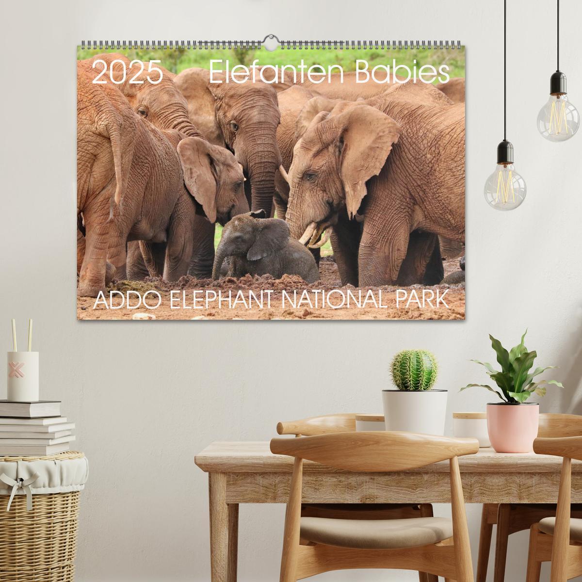 Bild: 9783435228355 | ADDO ELEPHANT NATIONAL PARK Elefanten Babies (Wandkalender 2025 DIN...