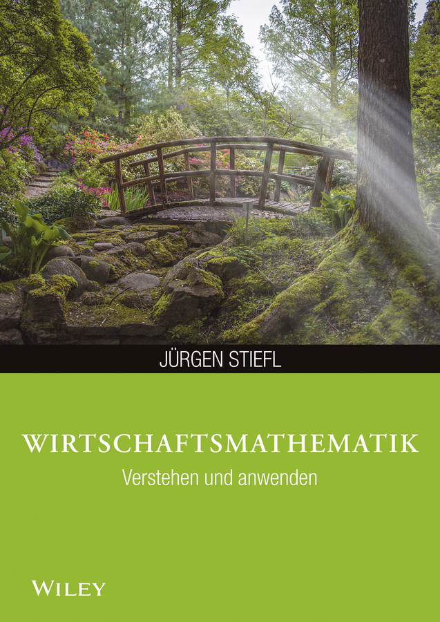 Cover: 9783527530298 | Wirtschaftsmathematik verstehen und anwenden | Jürgen Stiefl | Buch