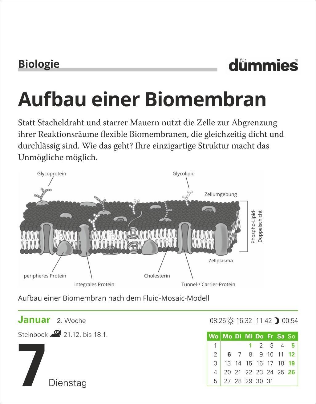 Bild: 9783840035470 | Die Welt erklärt für Dummies Tagesabreißkalender 2025 | Kalender