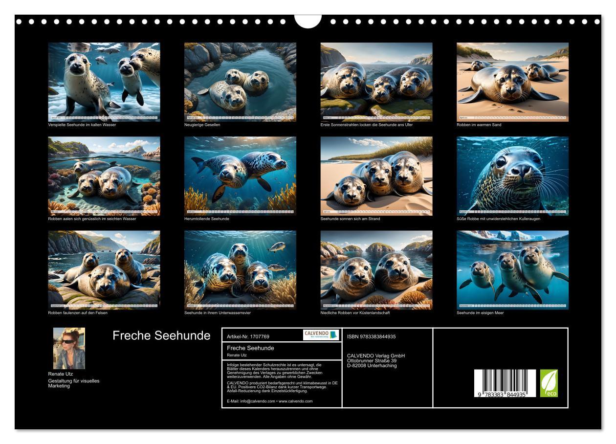 Bild: 9783383844935 | Freche Seehunde (Wandkalender 2025 DIN A3 quer), CALVENDO...