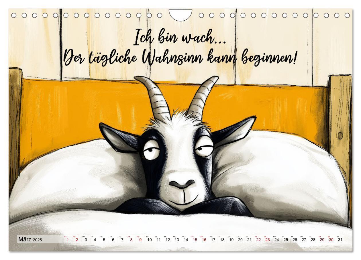 Bild: 9783457186053 | Ziegen, süß aber psycho (Wandkalender 2025 DIN A4 quer), CALVENDO...