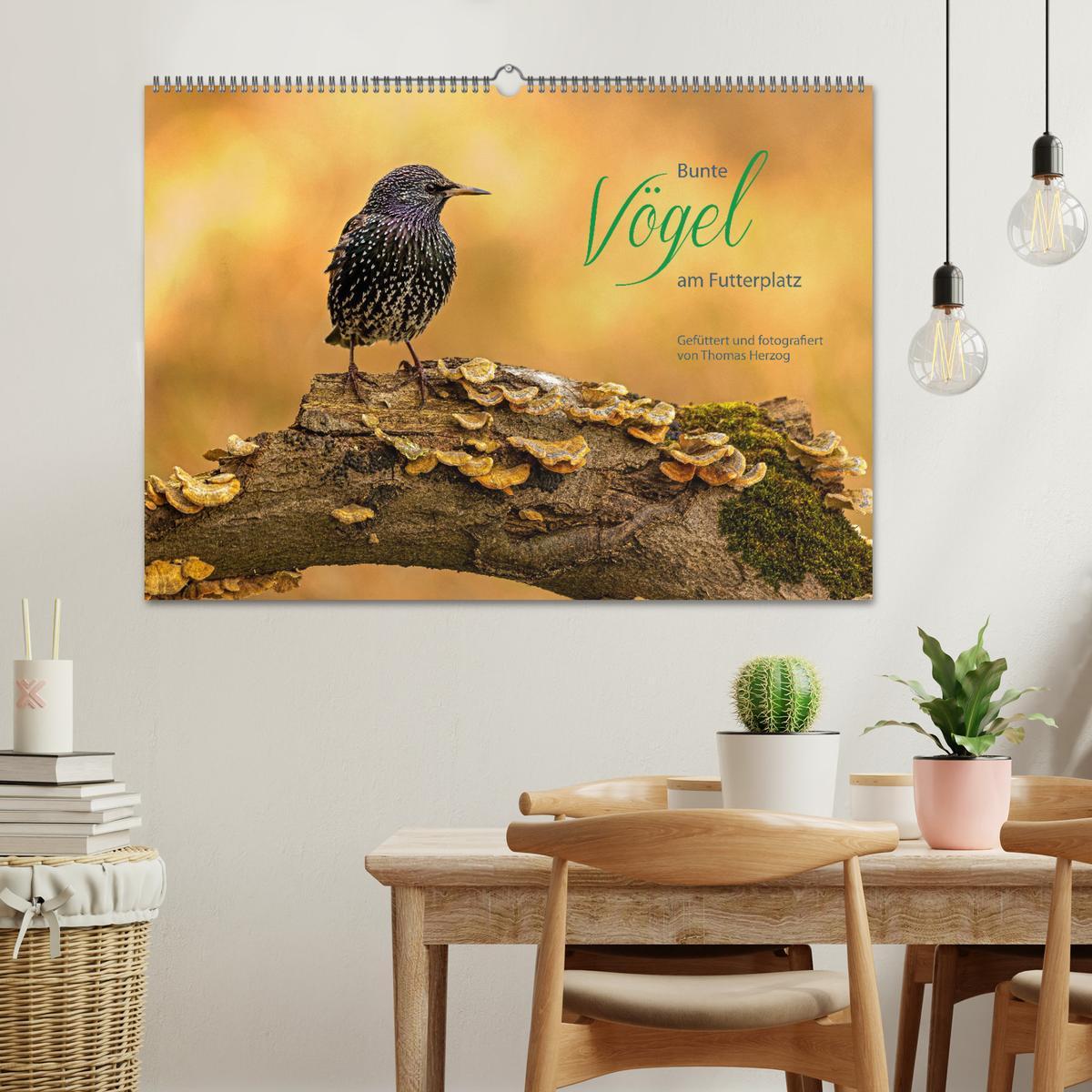 Bild: 9783435065479 | Bunte Vögel am Futterplatz (Wandkalender 2025 DIN A2 quer),...