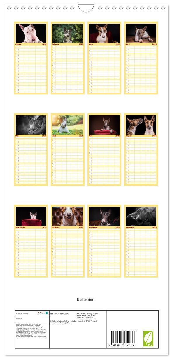 Bild: 9783457123768 | Familienplaner 2025 - Bullterrier mit 5 Spalten (Wandkalender, 21 x...