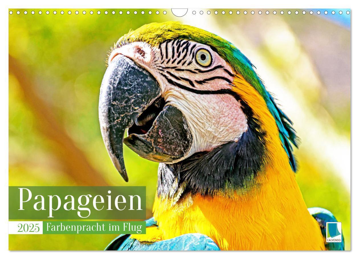 Cover: 9783383777998 | Papageien: Farbenpracht im Flug (Wandkalender 2025 DIN A3 quer),...