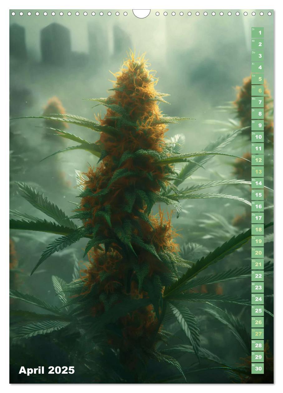 Bild: 9783383764721 | Rauschende Aussichten - Der ultimative Cannabis-Kalender...