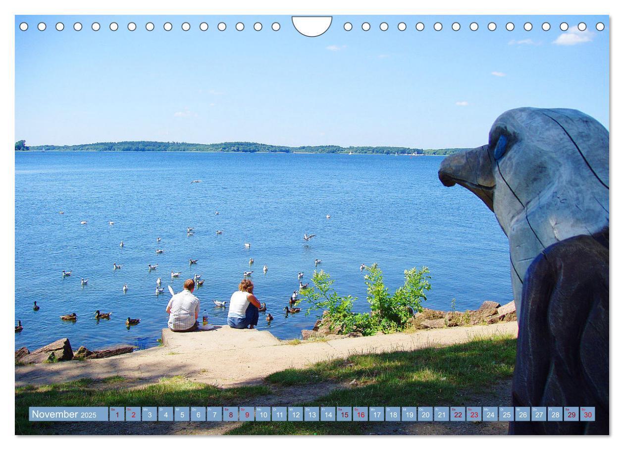 Bild: 9783383961953 | Wunderschöne Mecklenburgische Seenplatte (Wandkalender 2025 DIN A4...