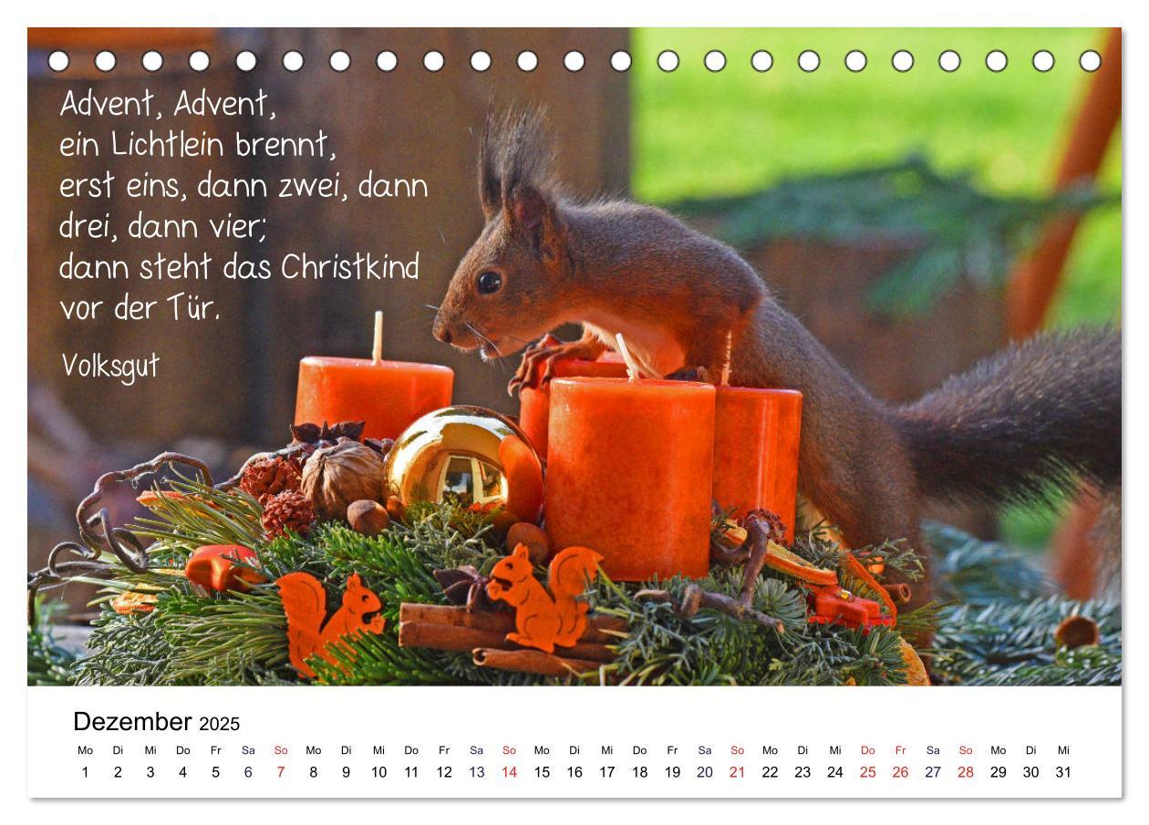 Bild: 9783435433247 | Der literarische Eichhörnchen-Kalender (Tischkalender 2025 DIN A5...