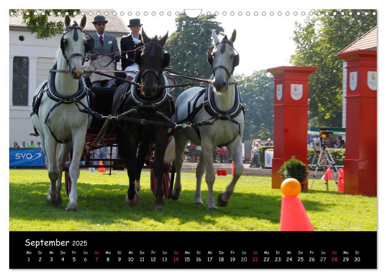 Bild: 9783435553457 | CIAT - Historischer Fahrsport in Celle (Wandkalender 2025 DIN A3...