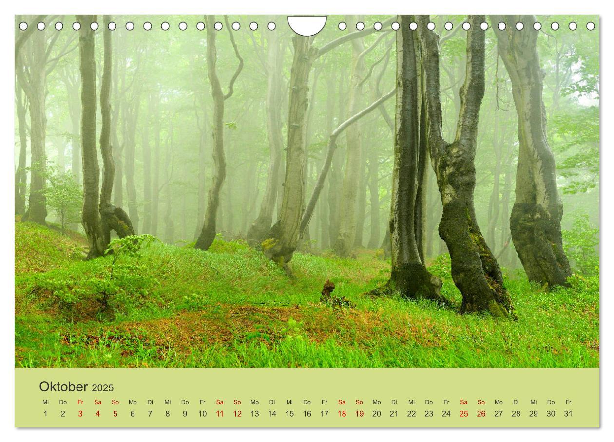 Bild: 9783435186877 | Das Erzgebirge Welterbe und Natur (Wandkalender 2025 DIN A4 quer),...