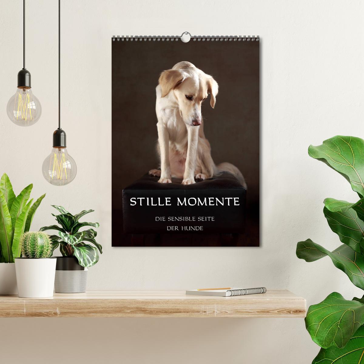 Bild: 9783435998203 | Stille Momente - Die sensible Seite der Hunde (Wandkalender 2025...