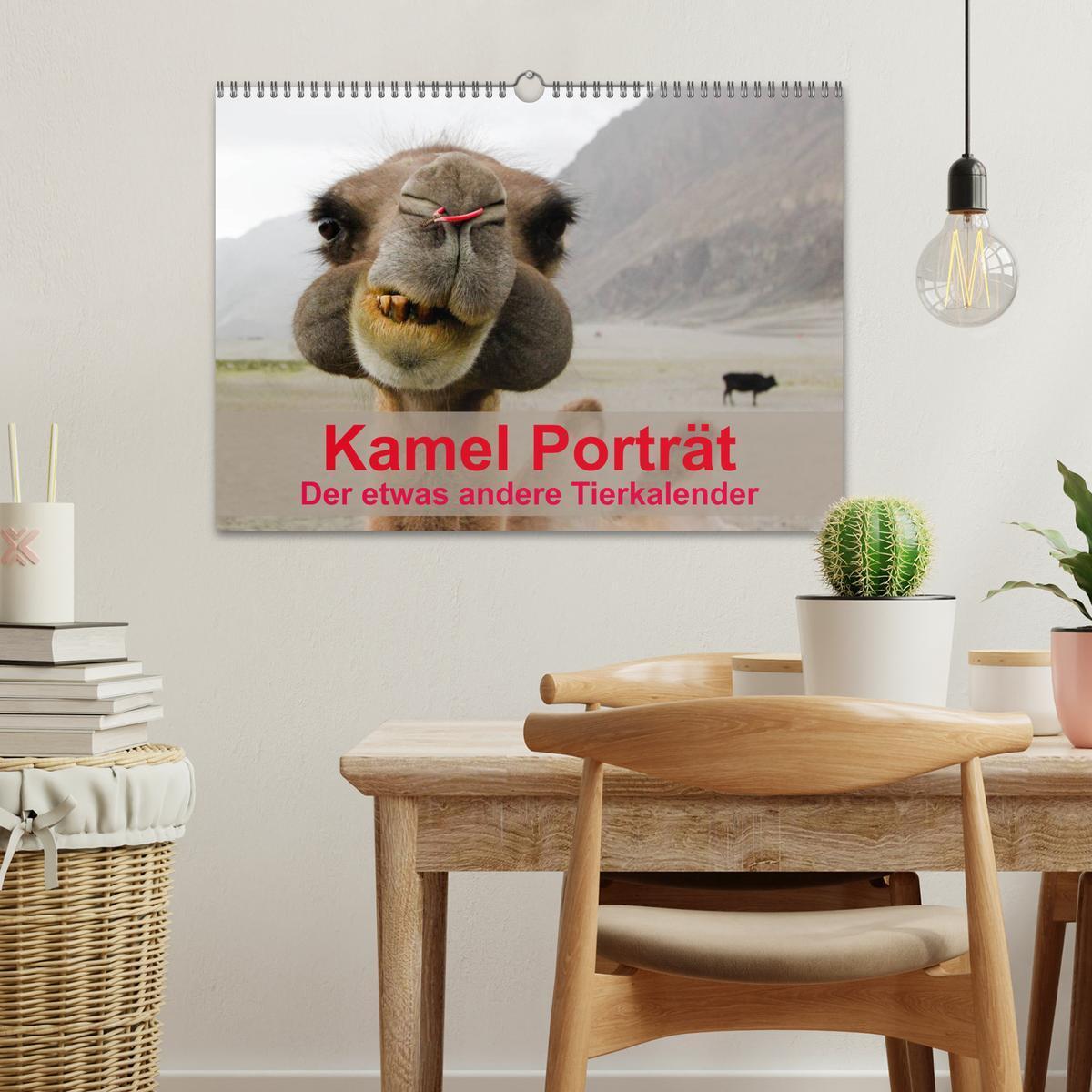 Bild: 9783435591688 | Kamel Porträt (Wandkalender 2025 DIN A3 quer), CALVENDO Monatskalender