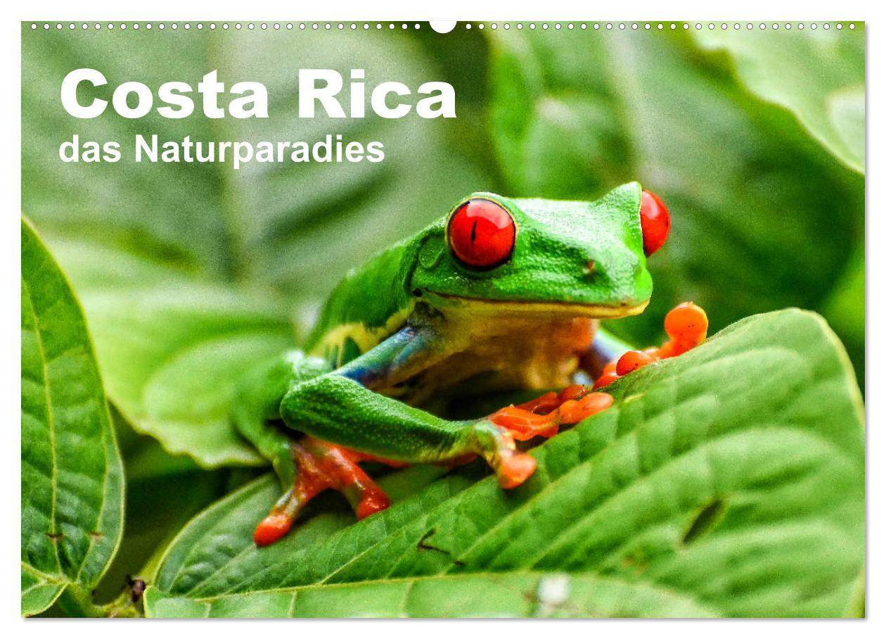 Cover: 9783435273997 | Costa Rica - das Naturparadies (Wandkalender 2025 DIN A2 quer),...