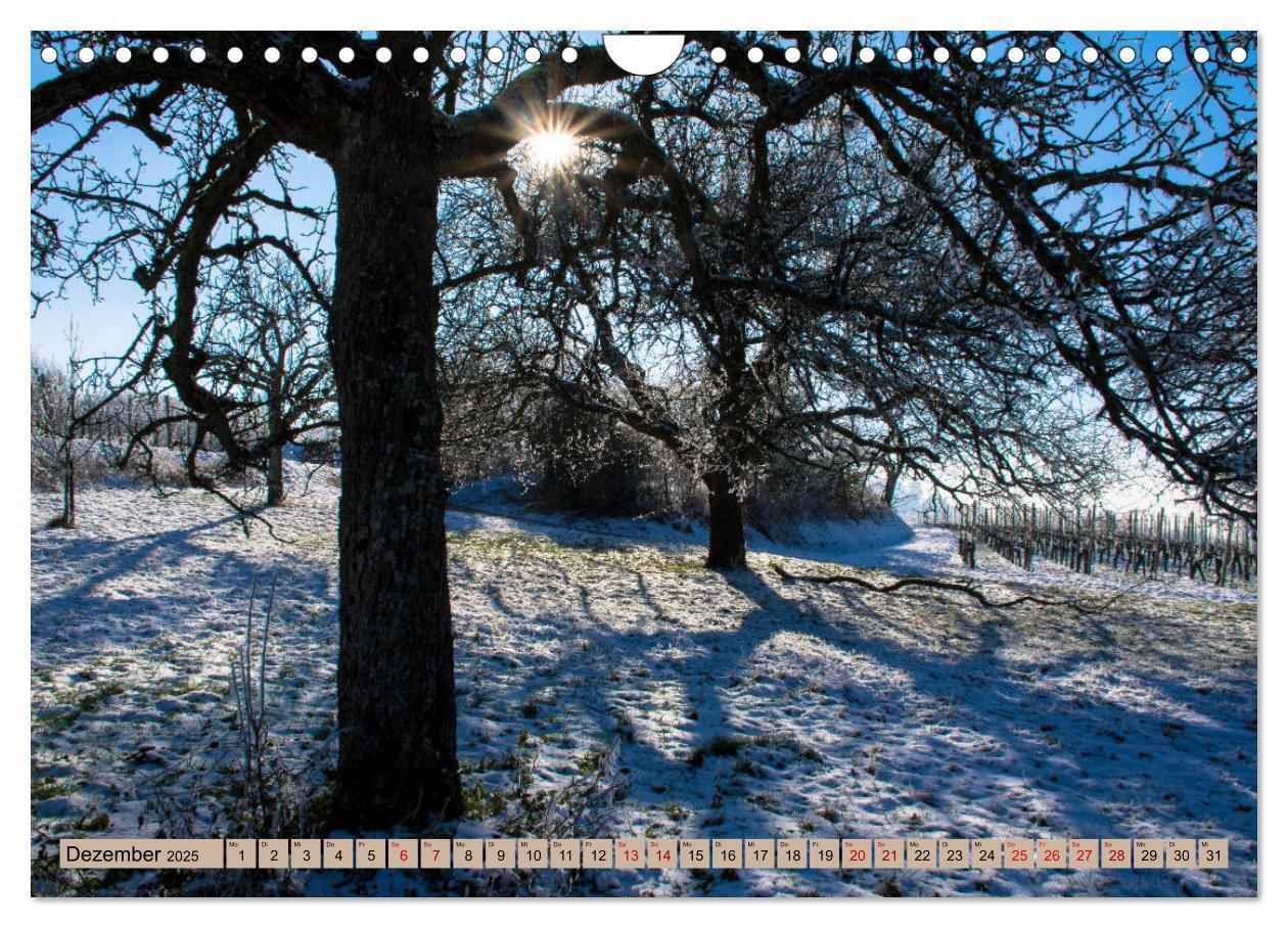 Bild: 9783435429257 | Kaiserstuhlblicke (Wandkalender 2025 DIN A4 quer), CALVENDO...