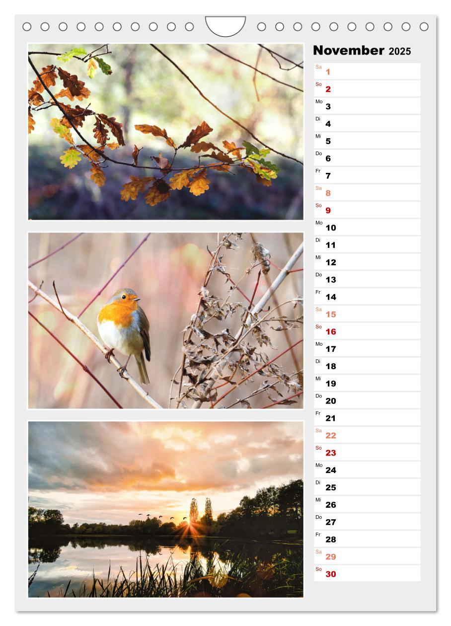 Bild: 9783435889877 | Zauberhafte Farben der Natur (Wandkalender 2025 DIN A4 hoch),...