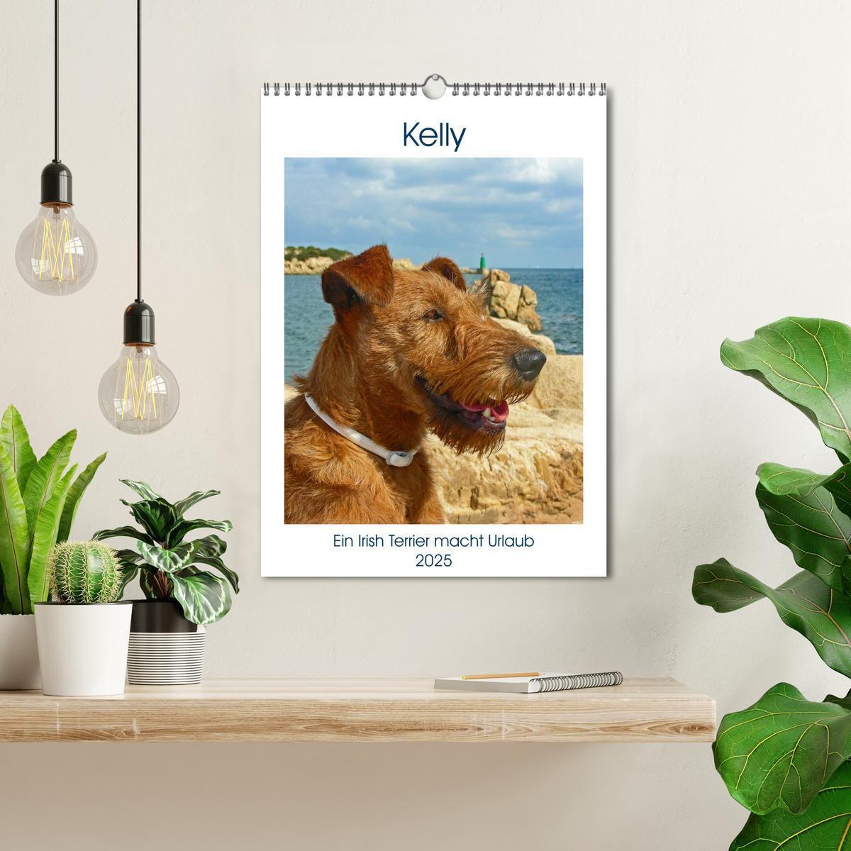 Bild: 9783435950768 | Kelly - Ein Irish Terrier macht Urlaub (Wandkalender 2025 DIN A3...