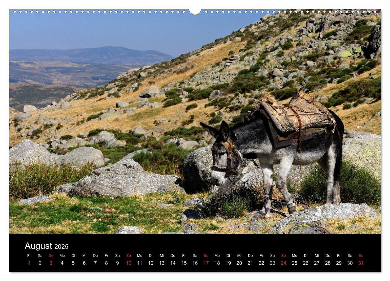 Bild: 9783435677412 | Spanien (Wandkalender 2025 DIN A2 quer), CALVENDO Monatskalender