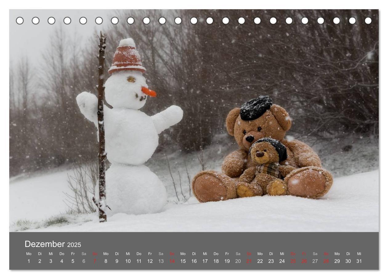 Bild: 9783435502172 | Travelling Teddy 2025 (Tischkalender 2025 DIN A5 quer), CALVENDO...