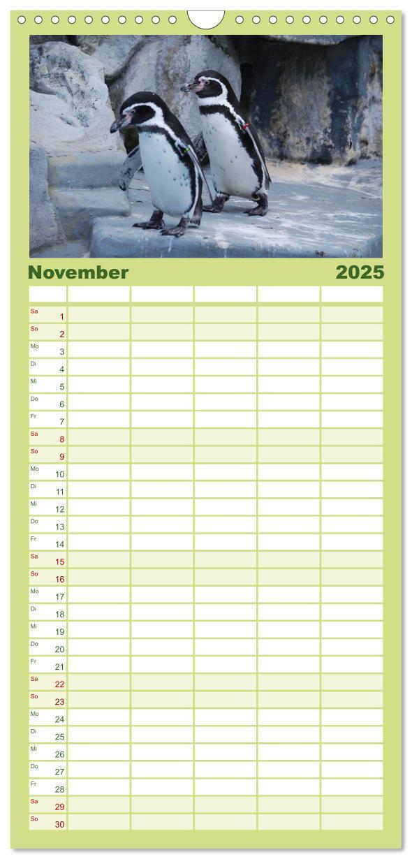 Bild: 9783457120293 | Familienplaner 2025 - Pinguine 2025 mit 5 Spalten (Wandkalender, 21...