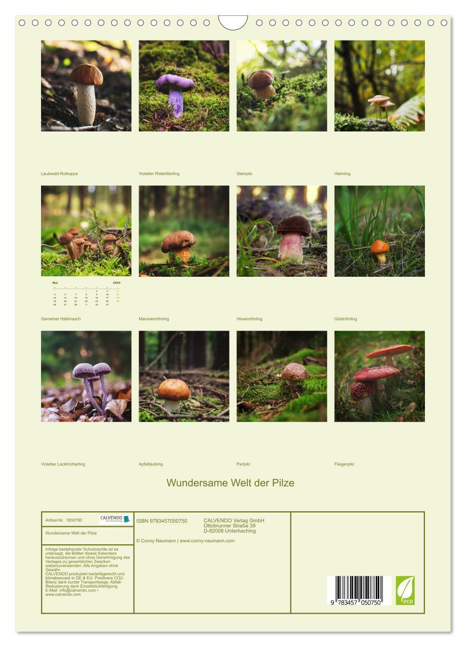 Bild: 9783457050750 | Wundersame Welt der Pilze (Wandkalender 2025 DIN A3 hoch), CALVENDO...