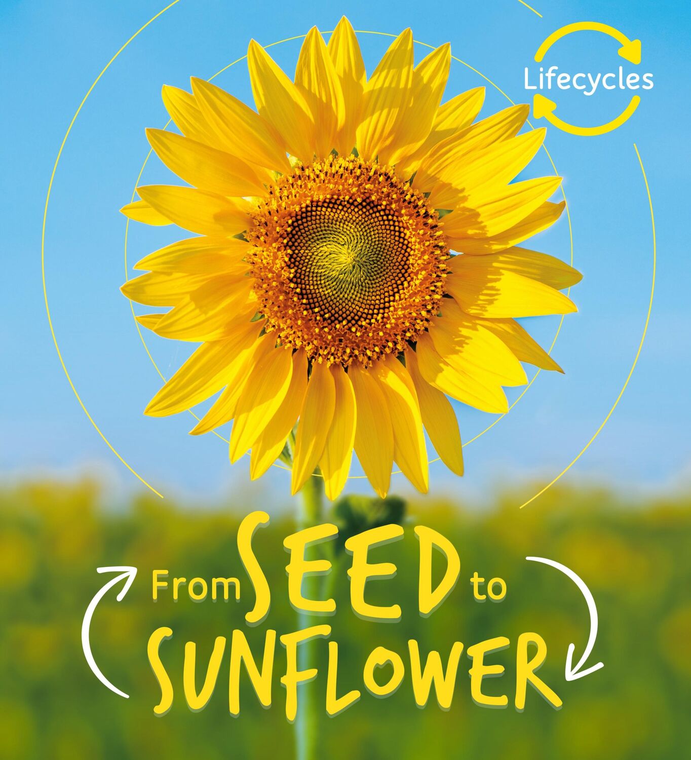 Cover: 9781786036209 | Lifecycles: Seed to Sunflower | Camilla De La Bedoyere | Taschenbuch