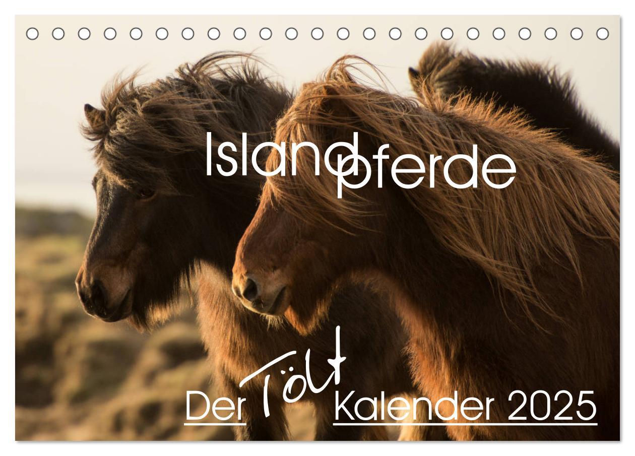 Cover: 9783435329656 | Islandpferde - Der Tölt Kalender (Tischkalender 2025 DIN A5 quer),...