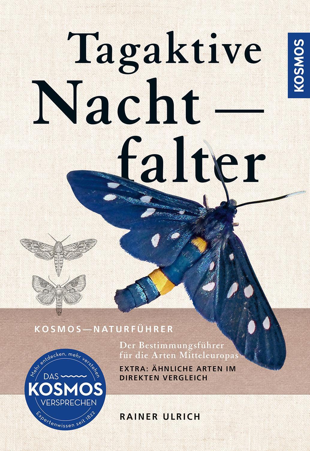 Cover: 9783440180693 | Tagaktive Nachtfalter | Rainer Ulrich | Taschenbuch | 320 S. | Deutsch