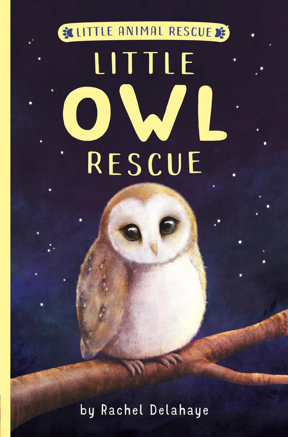 Cover: 9781664340114 | Little Owl Rescue | Rachel Delahaye | Taschenbuch | Englisch | 2022