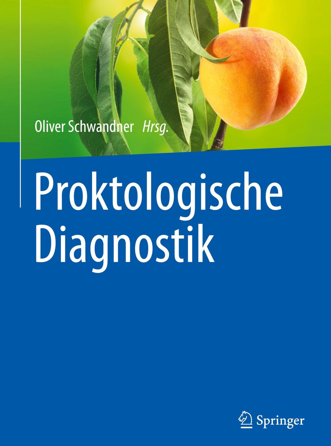 Cover: 9783662472613 | Proktologische Diagnostik | Oliver Schwandner | Buch | xviii | Deutsch