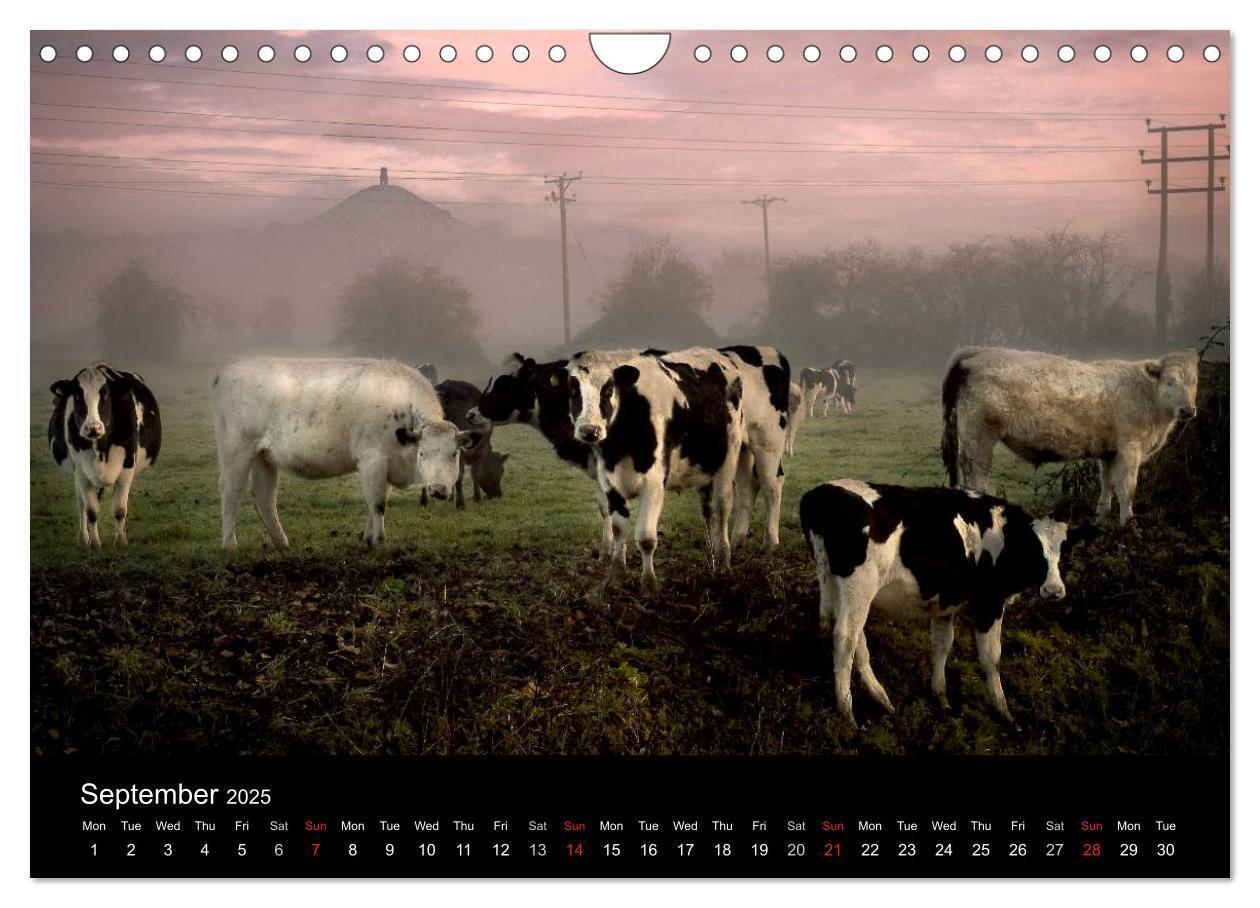 Bild: 9781325956593 | Glastonbury Tor (Wall Calendar 2025 DIN A4 landscape), CALVENDO 12...