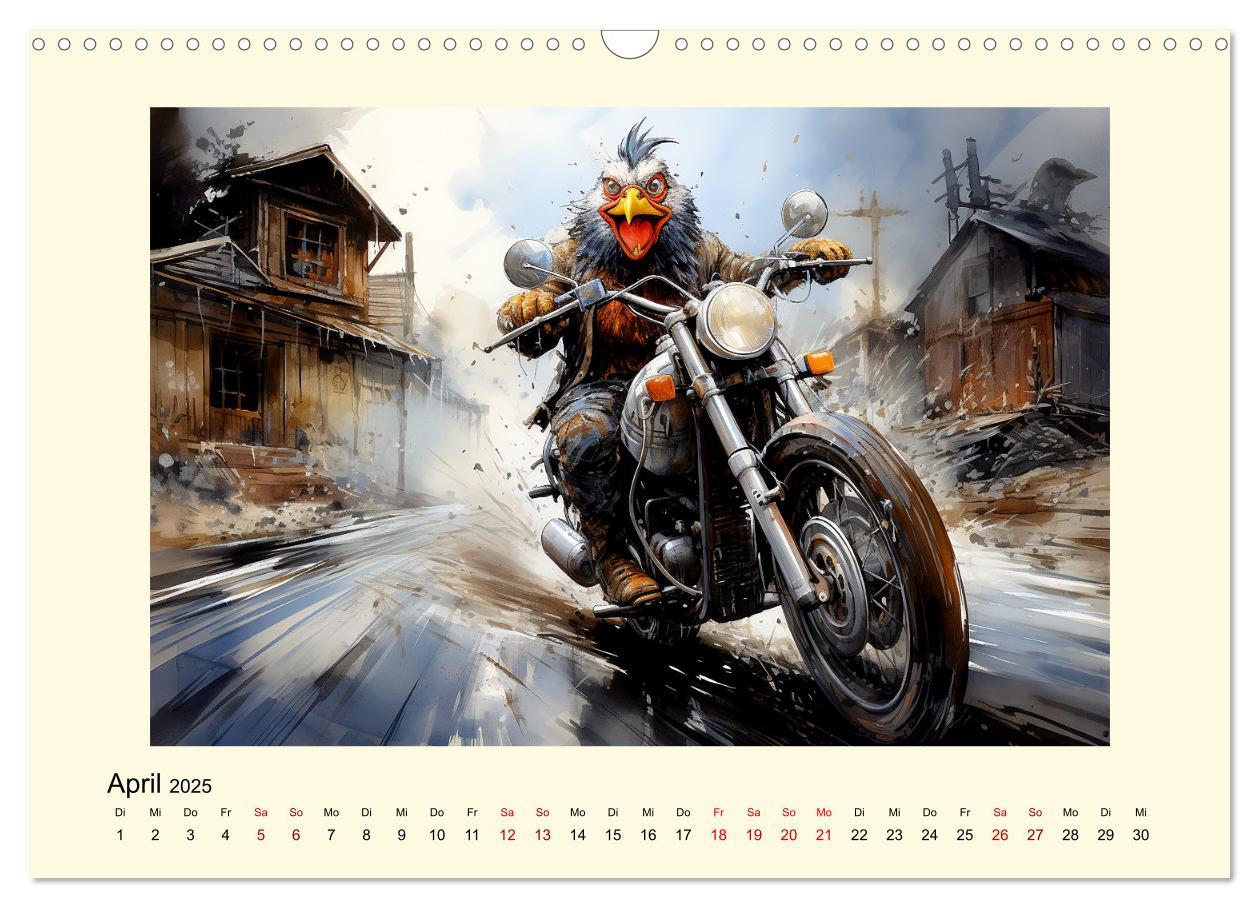 Bild: 9783383866111 | Verrückte Hühner (Wandkalender 2025 DIN A3 quer), CALVENDO...