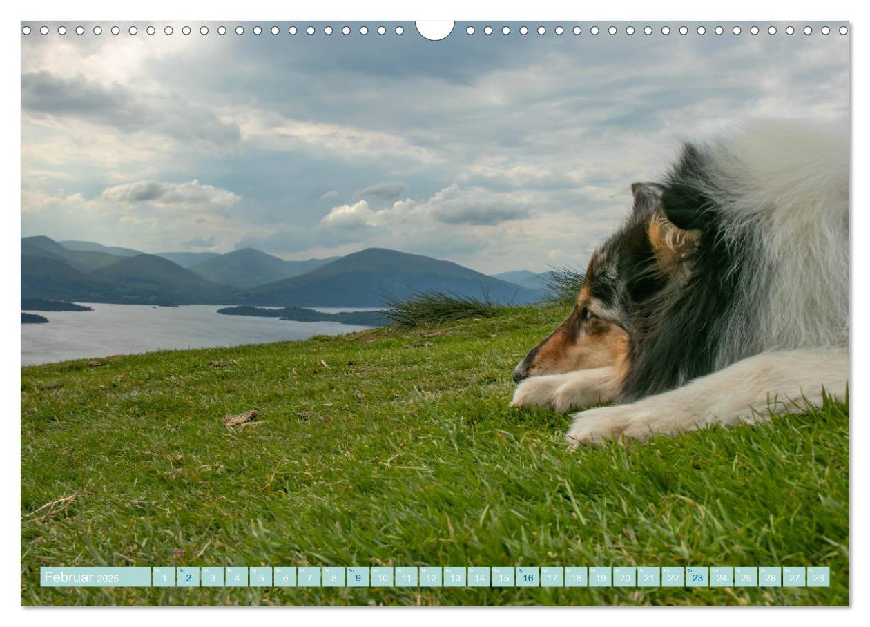 Bild: 9783435175758 | Highland-Collies - Auf vier Pfoten durch Schottland und Irland...