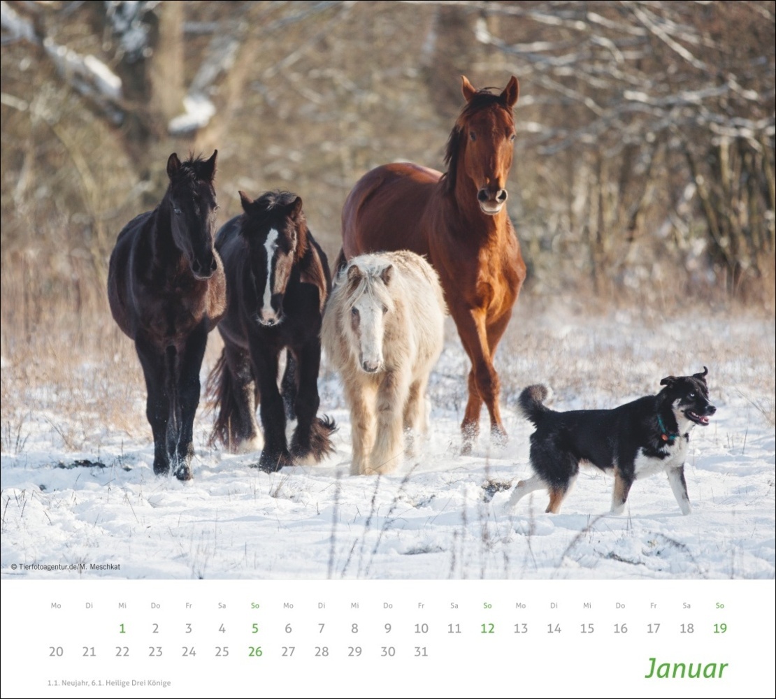 Bild: 9783756406906 | Echte Freunde Bildkalender 2025 | Kalender | Spiralbindung | 14 S.