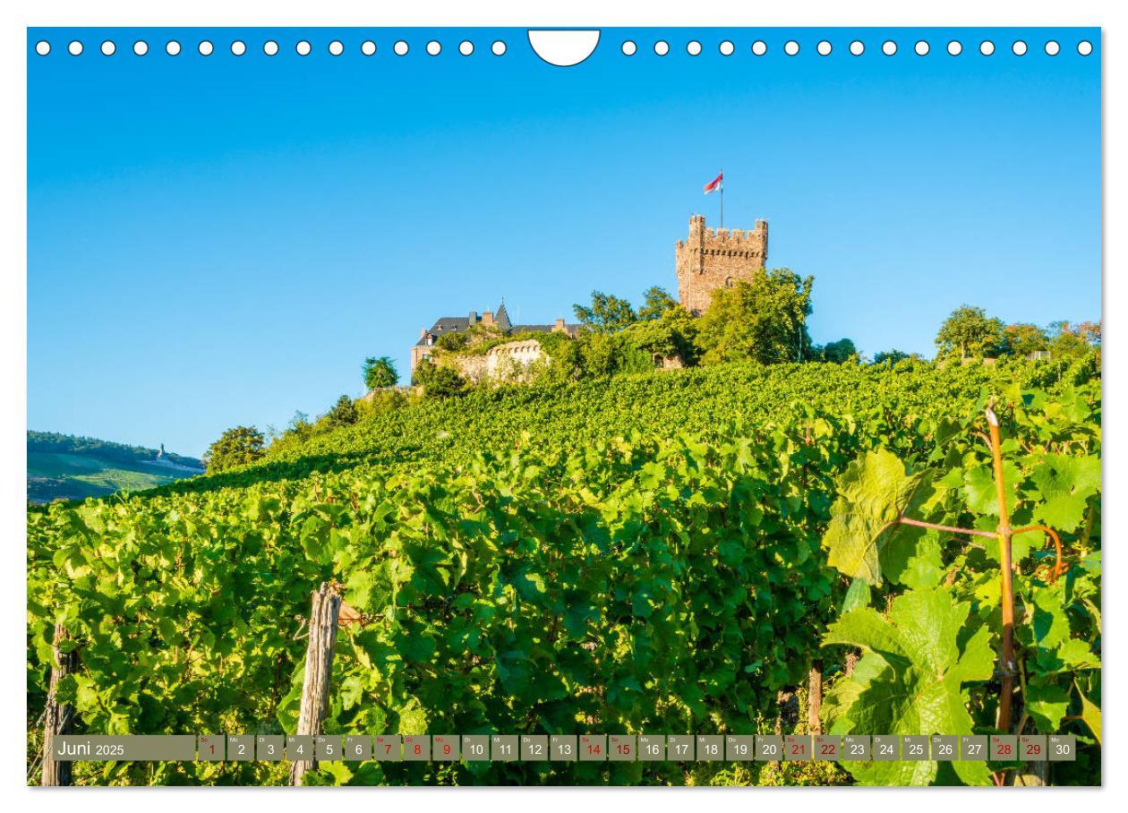 Bild: 9783435389353 | Rheinhessen-Impressionen (Wandkalender 2025 DIN A4 quer), CALVENDO...