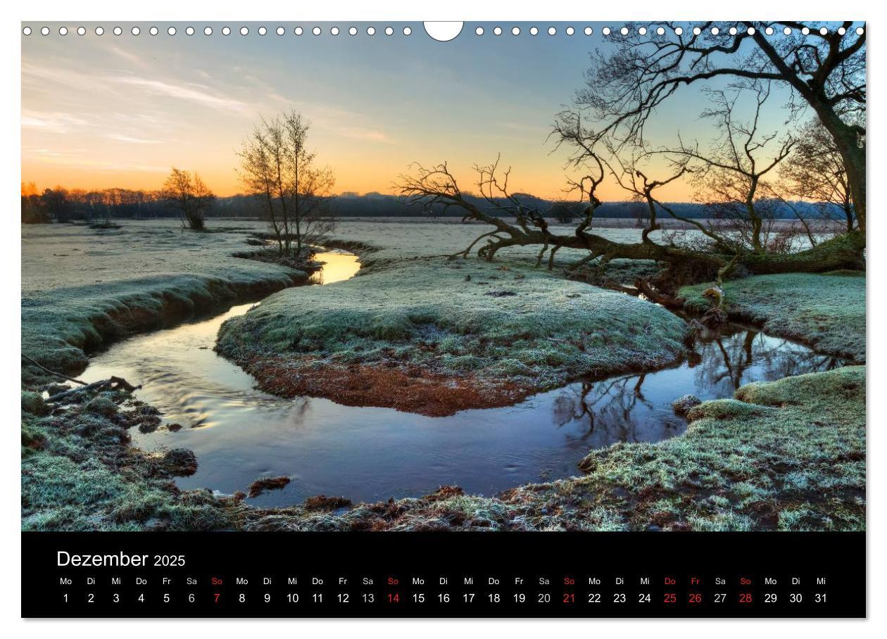 Bild: 9783435475964 | New Forest - England (Wandkalender 2025 DIN A3 quer), CALVENDO...