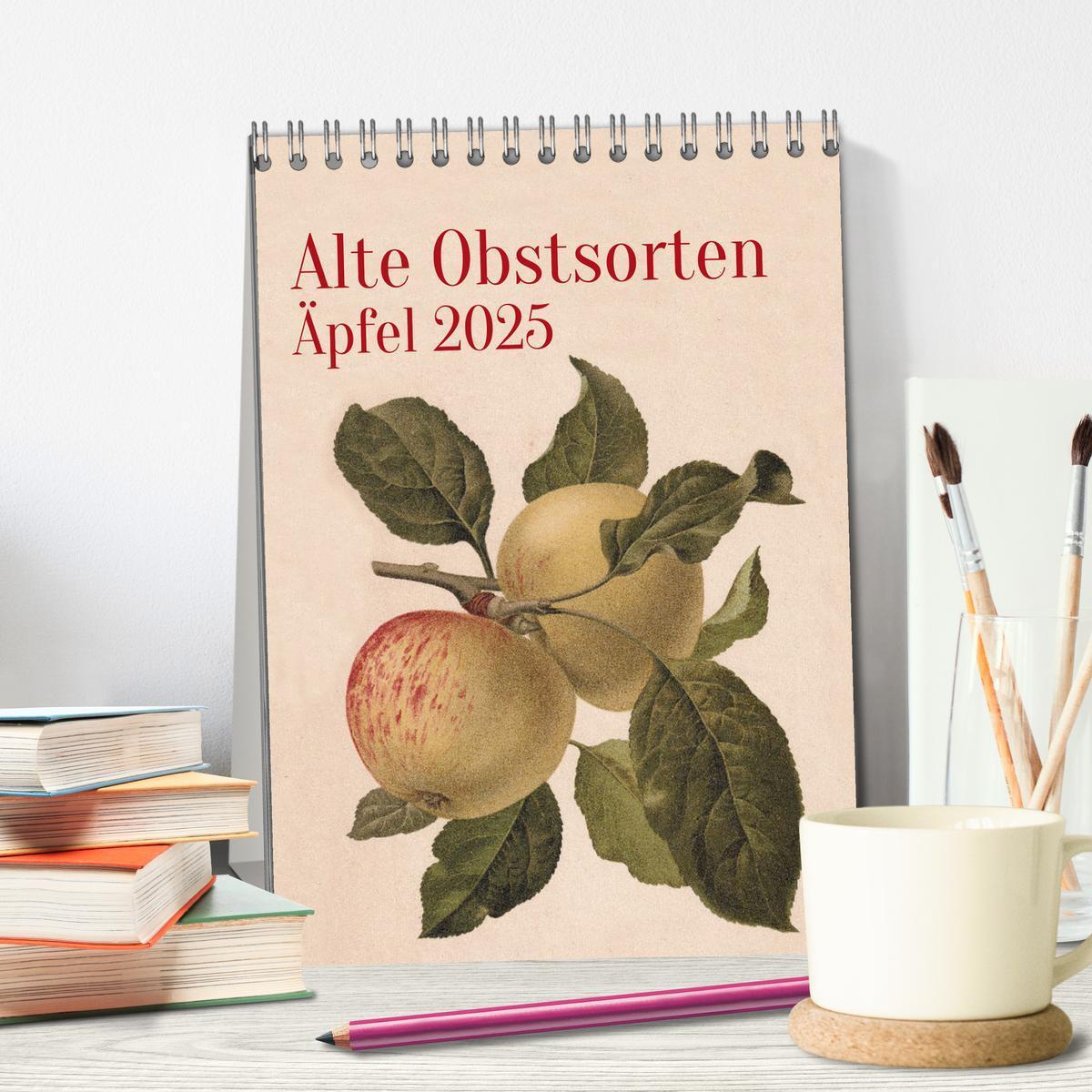 Bild: 9783457204443 | Alte Obstsorten - Äpfel 2025 (Tischkalender 2025 DIN A5 hoch),...